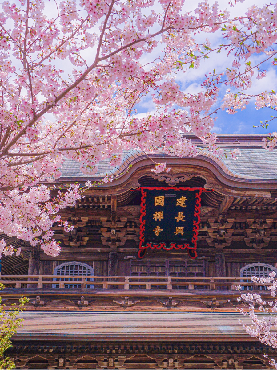 G. KORE - JAPONYA TURU  THY ile