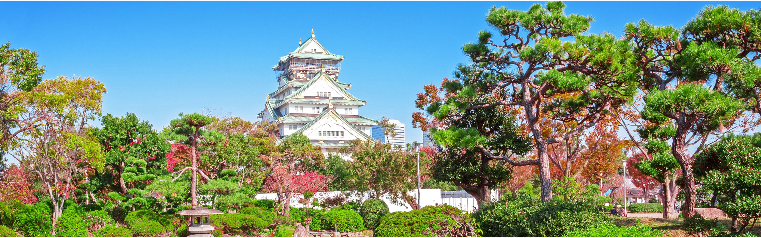 Japonya- G. Kore  Turu ( Akağaç- Momiji Mevsimi )